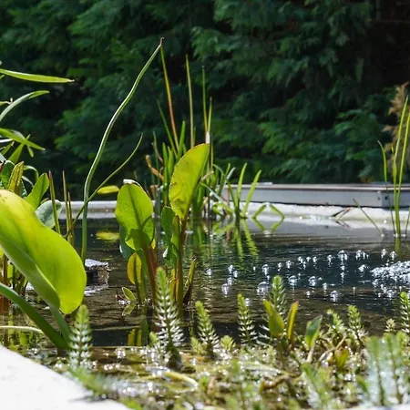 Romance Studio-steps From Thesea Appartement