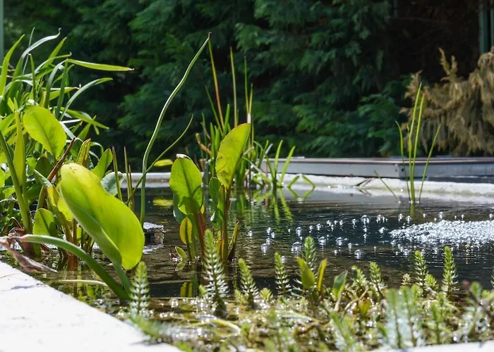 Romance Studio-steps From Thesea 公寓